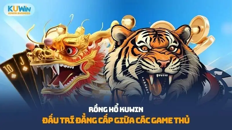 Rồng Hổ Kuwin
