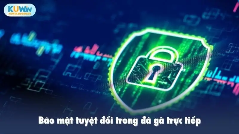 Bảo mật tuyệt đối trong đá gà trực tiếp