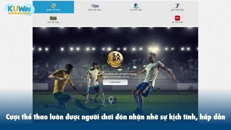 Cá cược thể thao KUWIN luôn được người chơi đón nhận