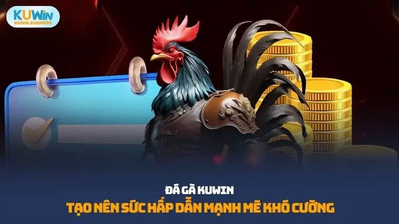Đá gà KUWIN thu hút số lượng lớn thành viên bởi được phát sóng trực tiếp từ các đấu trường danh tiếng