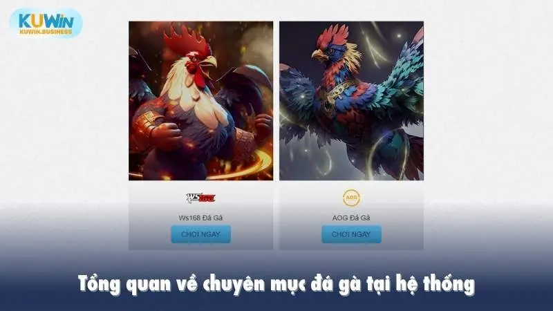 Tổng quan về chuyên mục đá gà tại hệ thống