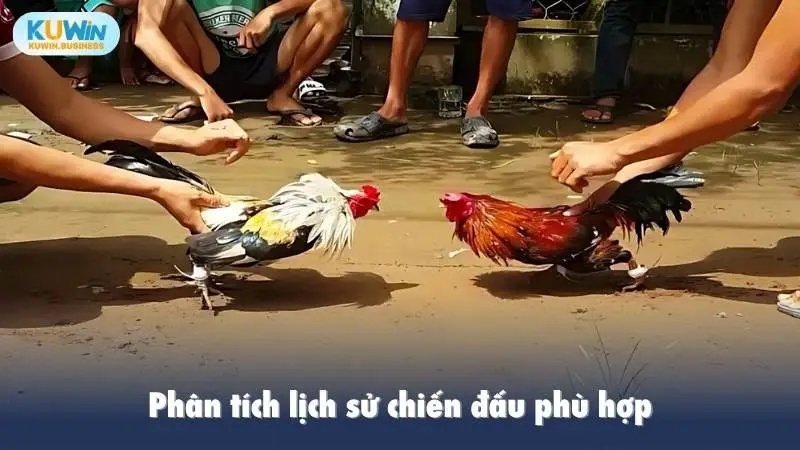 Phân tích lịch sử chiến đấu phù hợp