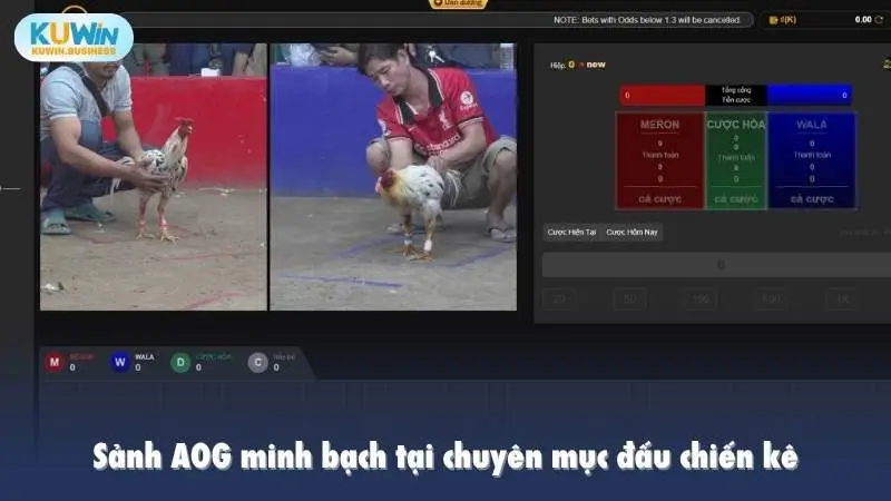 Sảnh AOG minh bạch tại chuyên mục đấu chiến kê