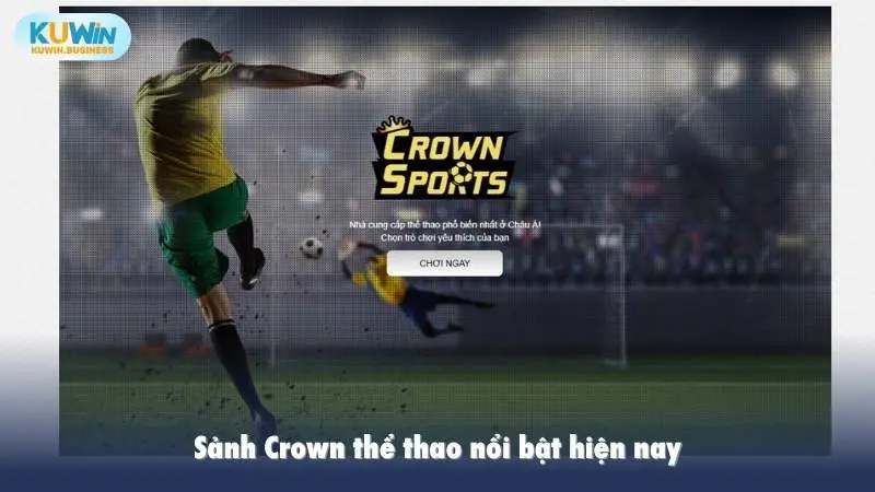 Sảnh Crown thể thao nổi bật hiện nay
